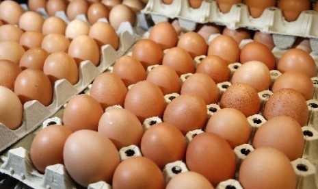 Harga Telur Ayam Naik 20 Persen